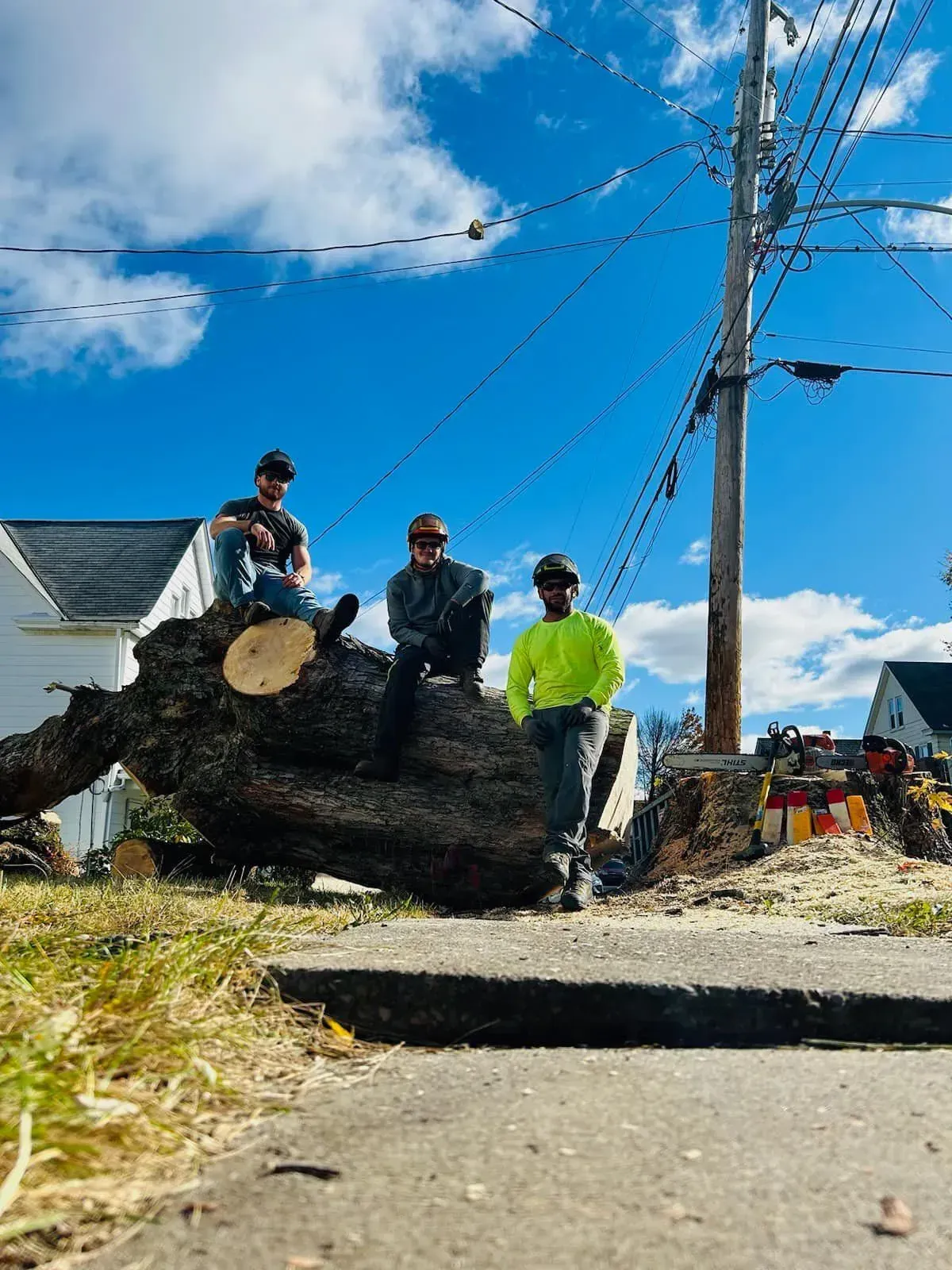 Three people pose on a large tree trunk near a sidewalk, utility pole, and houses on a bright, sunny day.