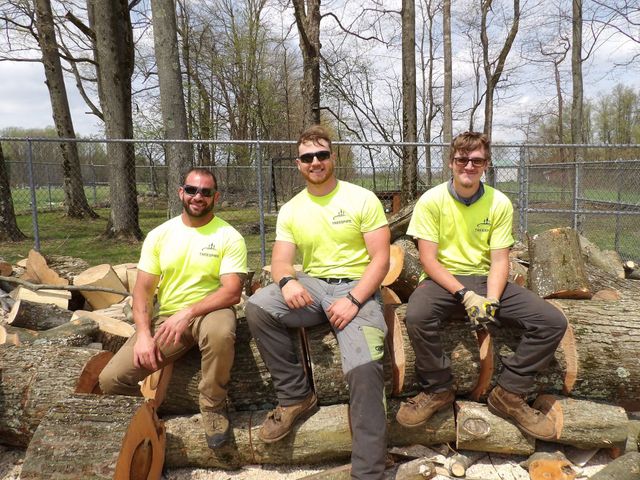 Three men in work clothes sit on logs, smiling. They are outdoors with a pile of cut wood in the background.