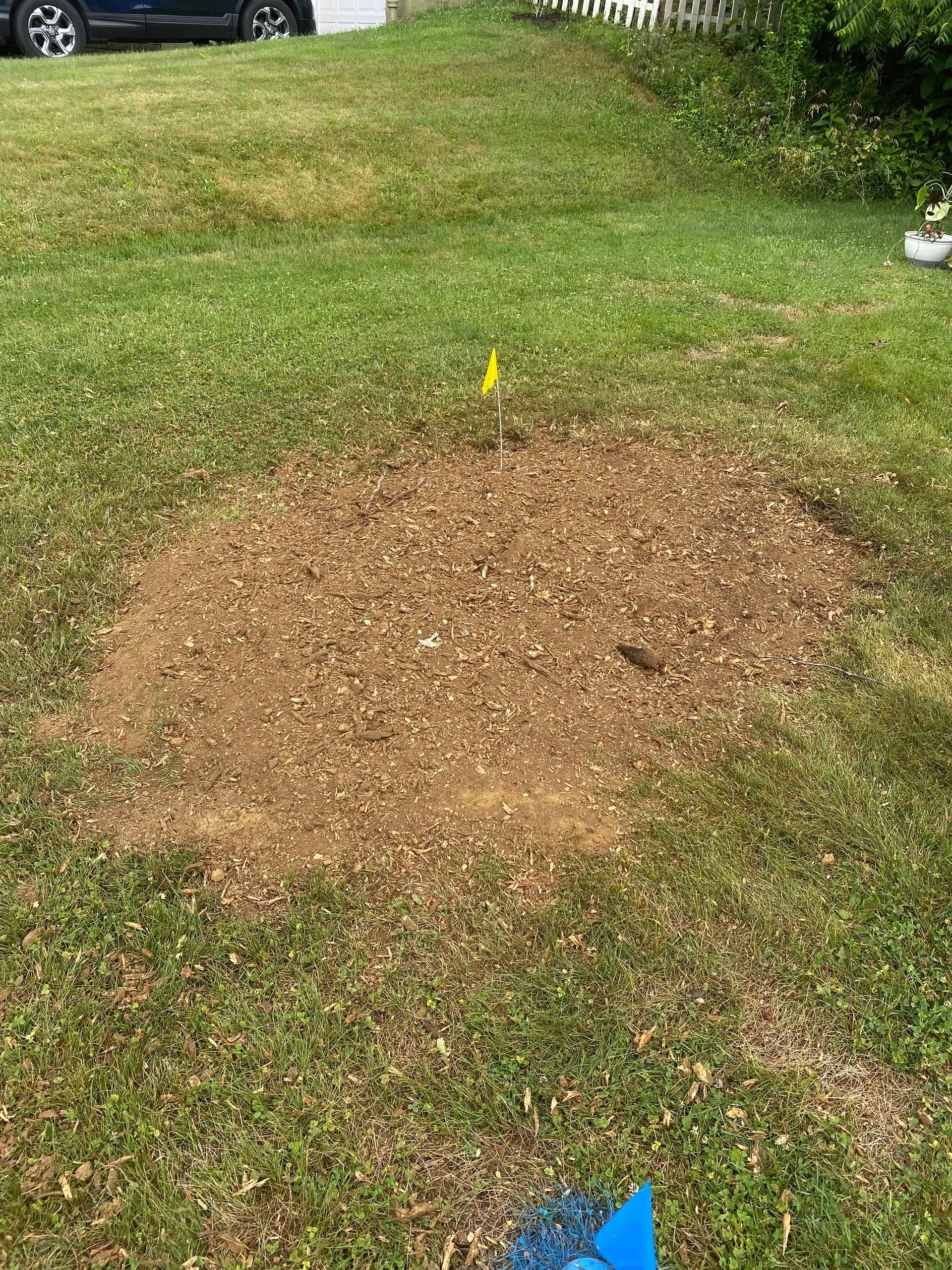 A stump removal site covered in wood chips, in a grassy yard, with a yellow flag.