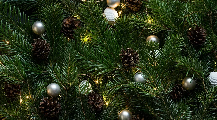 Close-up of a Christmas tree with green pine branches, silver ornaments, pinecones, and warm yellow lights