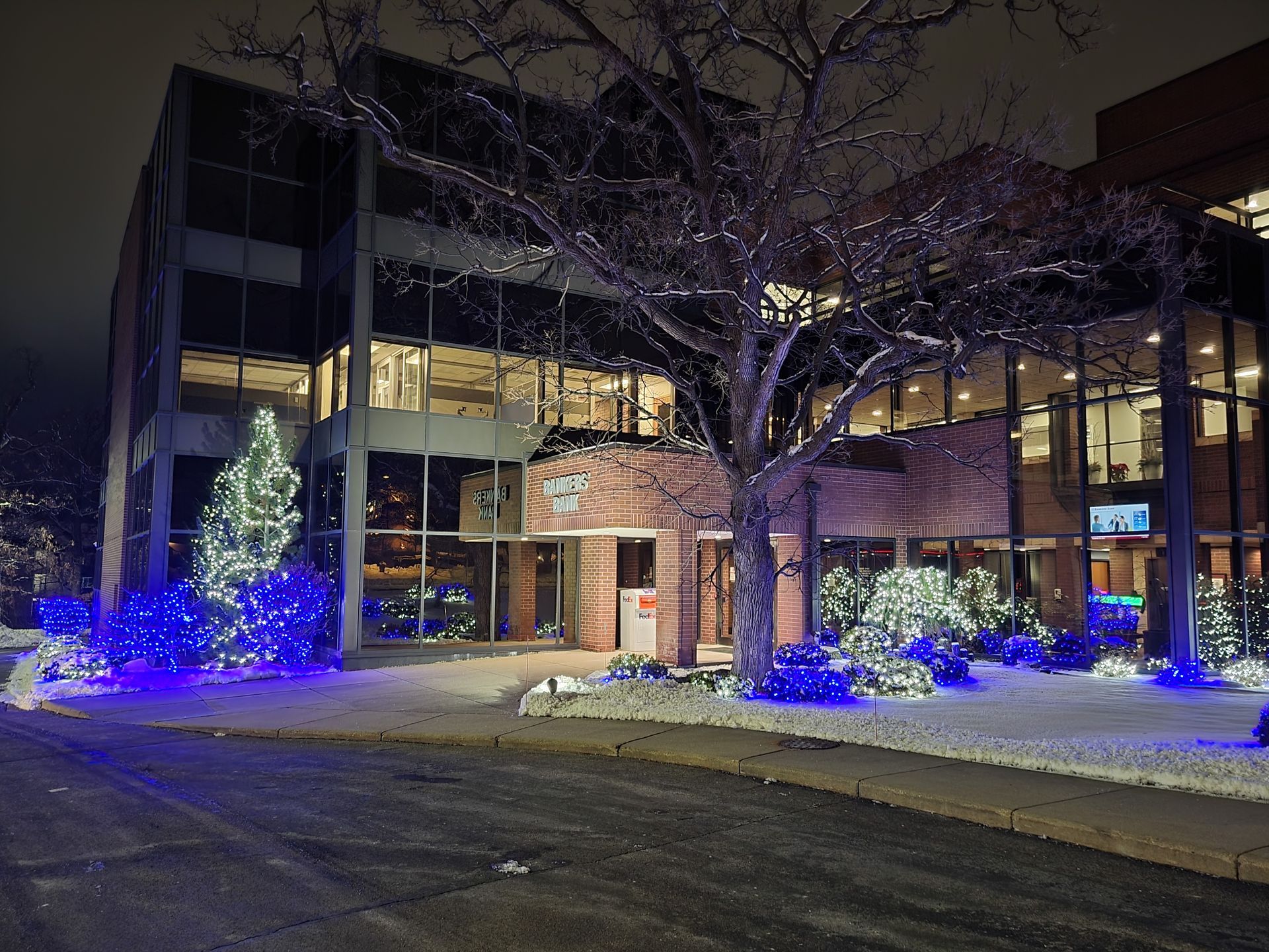 Building entrance at night with blue holiday lights, trees, and snow-covered ground.