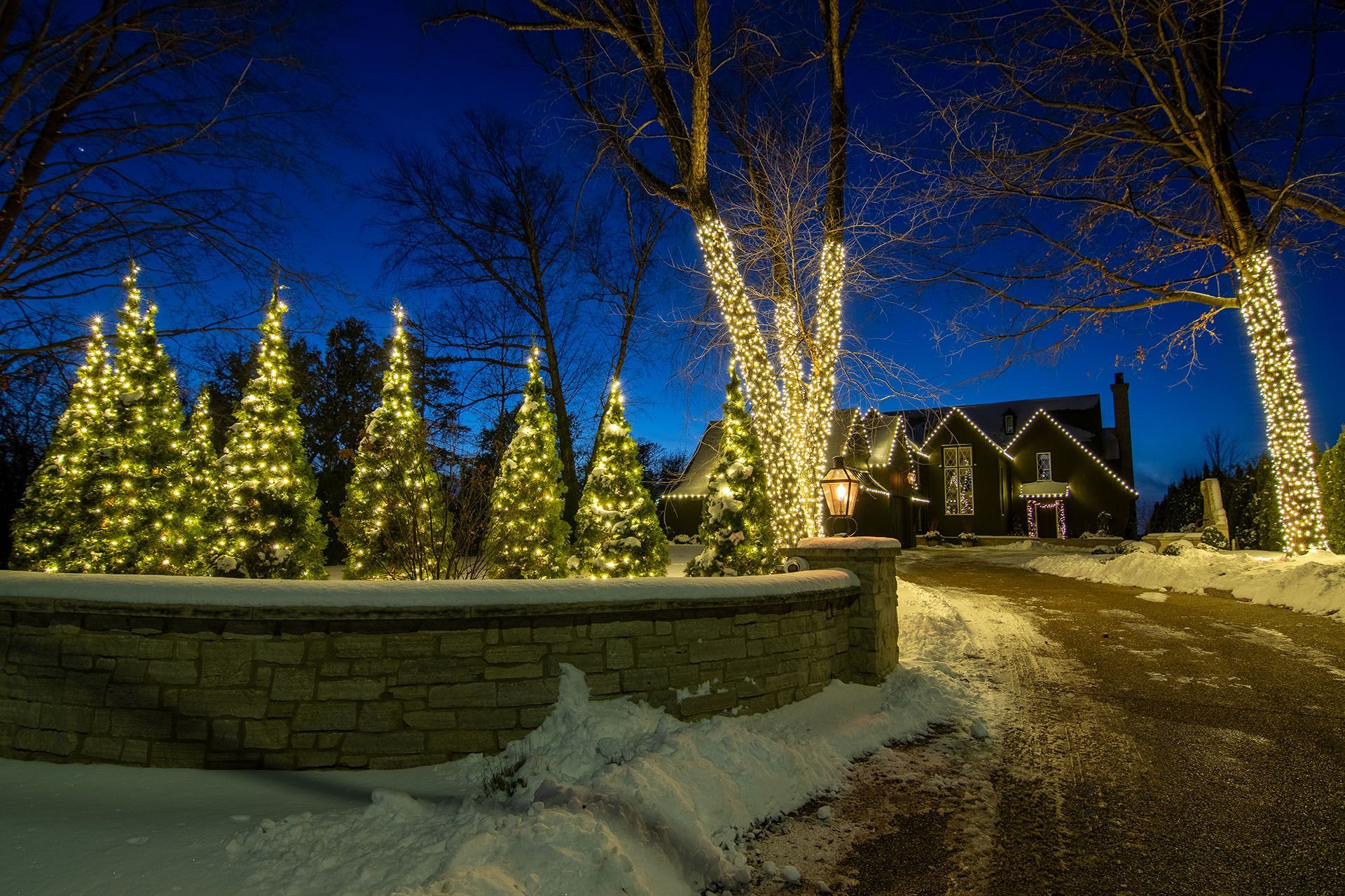 Snowy driveway with lit Christmas trees, bare trees, and a house at dusk