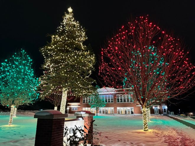 Lit trees and a building decorated for the holidays at night, with colorful lights in snow.