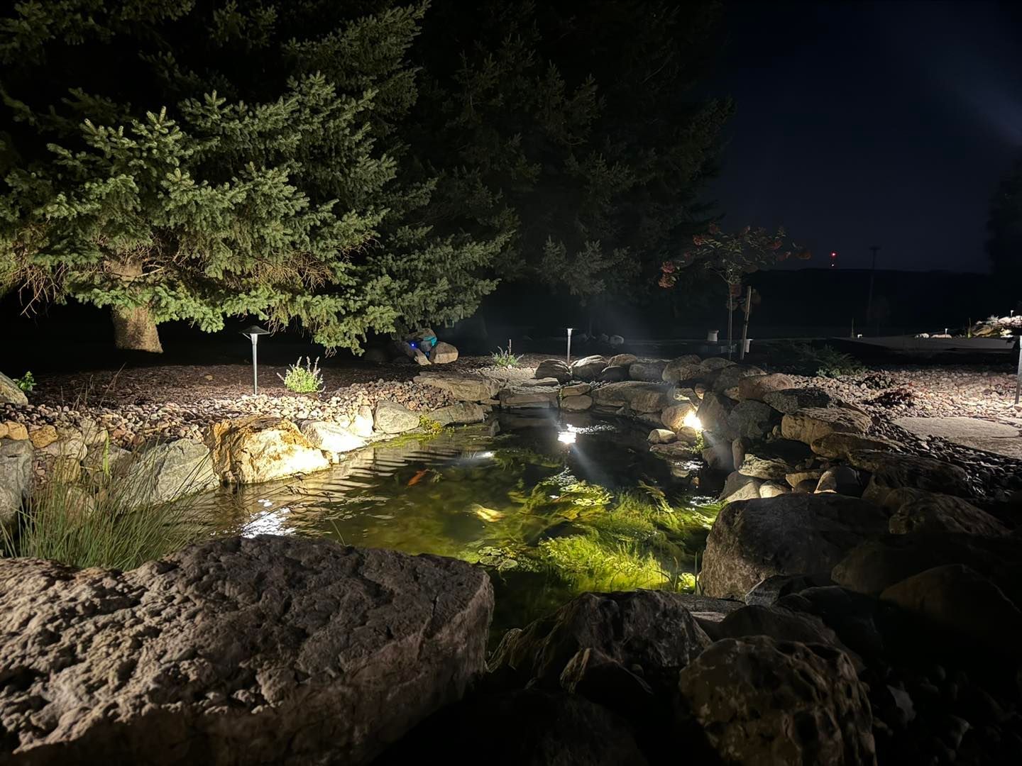 Nighttime pond garden with rocks, trees, and glowing lights reflecting on the water