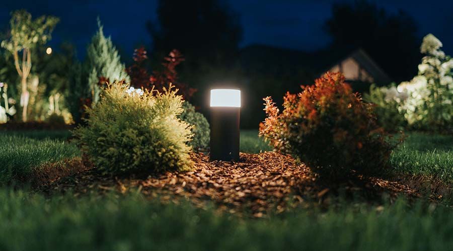 Glowing garden path light among shrubs and fallen leaves at night