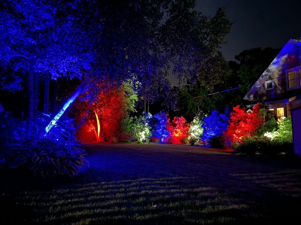 Nighttime outdoor scene with trees and house lit in blue, red, and white lights along a driveway