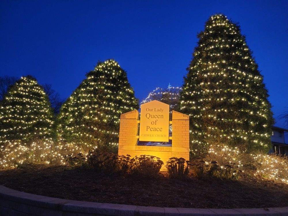 Lit Christmas trees surrounding a glowing sign reading “Prince of Peace” at night