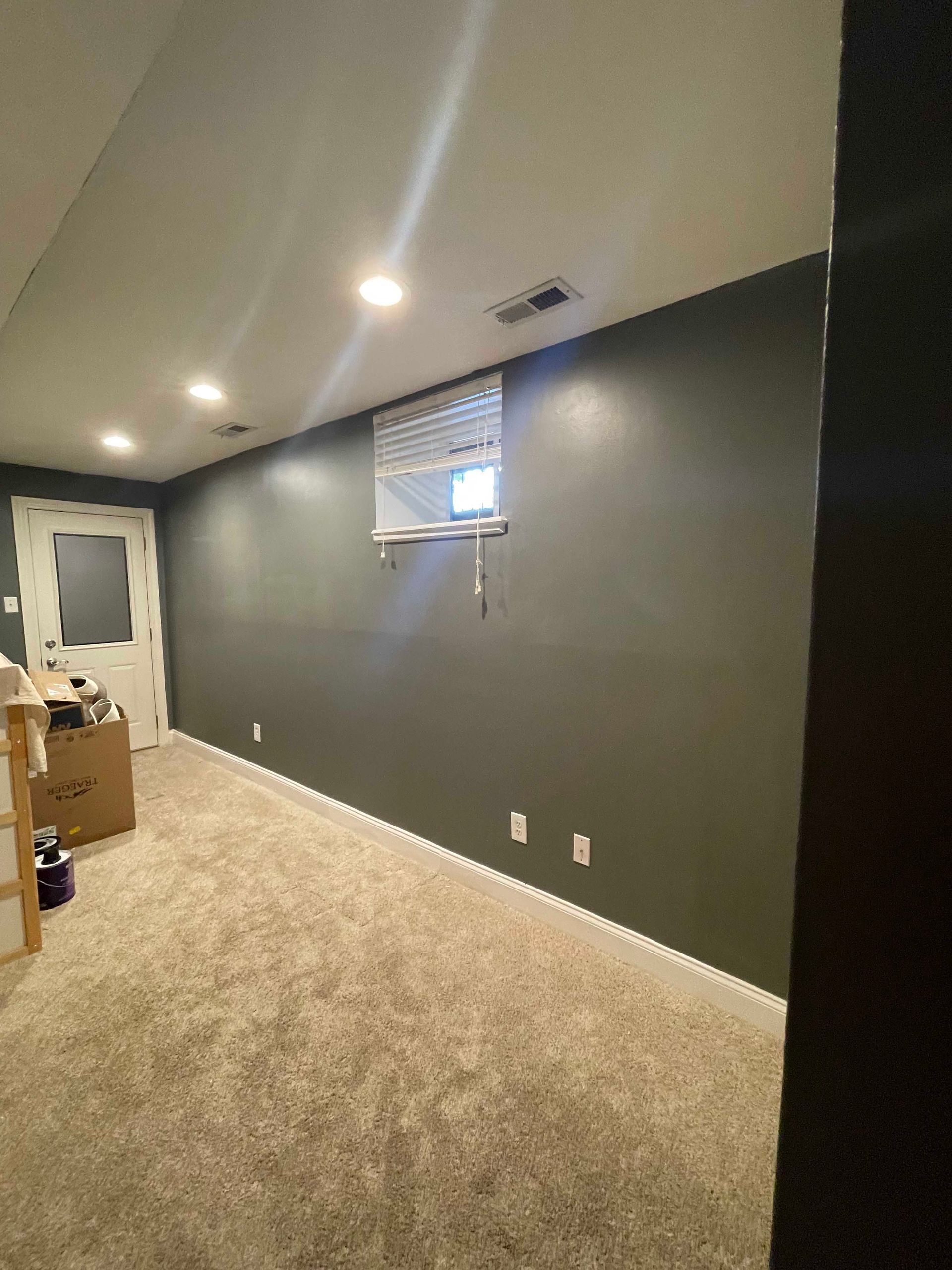 Basement room with gray walls, beige carpet, small window, and a white door.