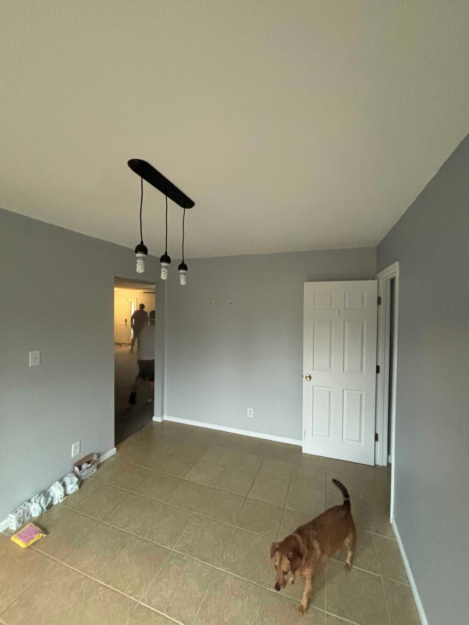 Room with gray walls, light fixtures, and a dog walking on tan flooring near a white door.