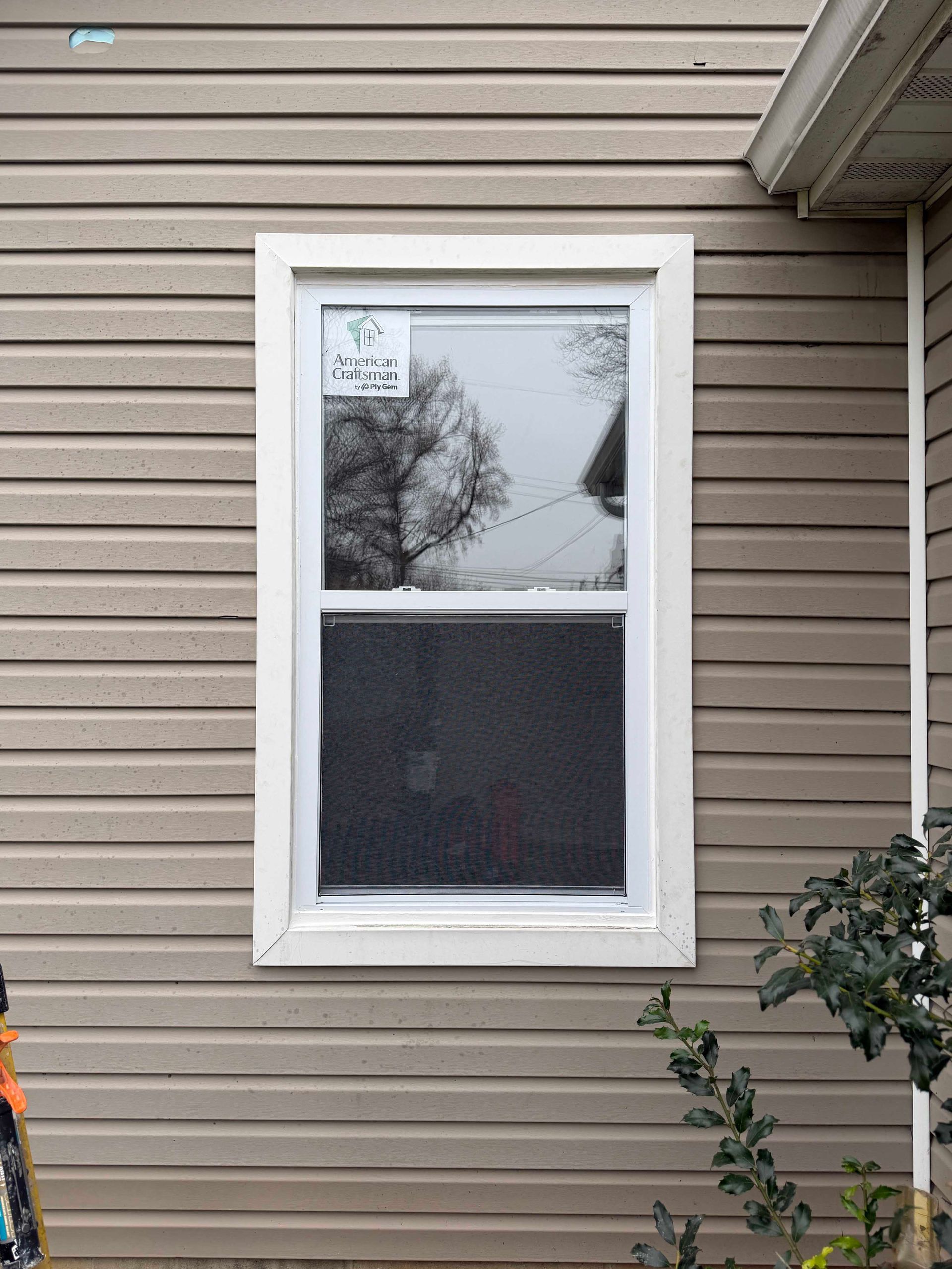 White-framed window installed on a tan-sided house. A tree and sky are reflected in the glass.