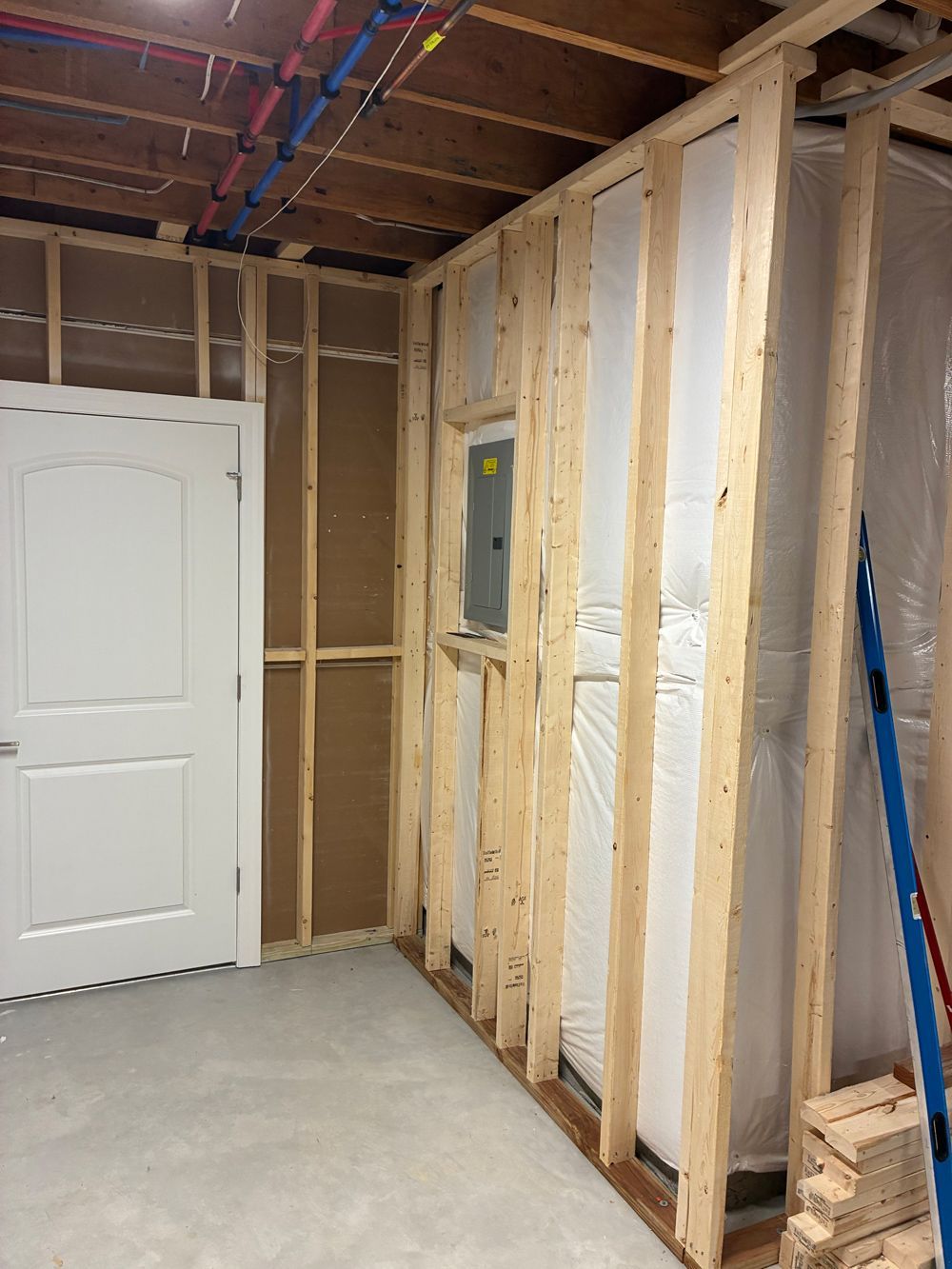 Unfinished basement room with wooden wall studs, an electrical panel, and a white door against a concrete floor.