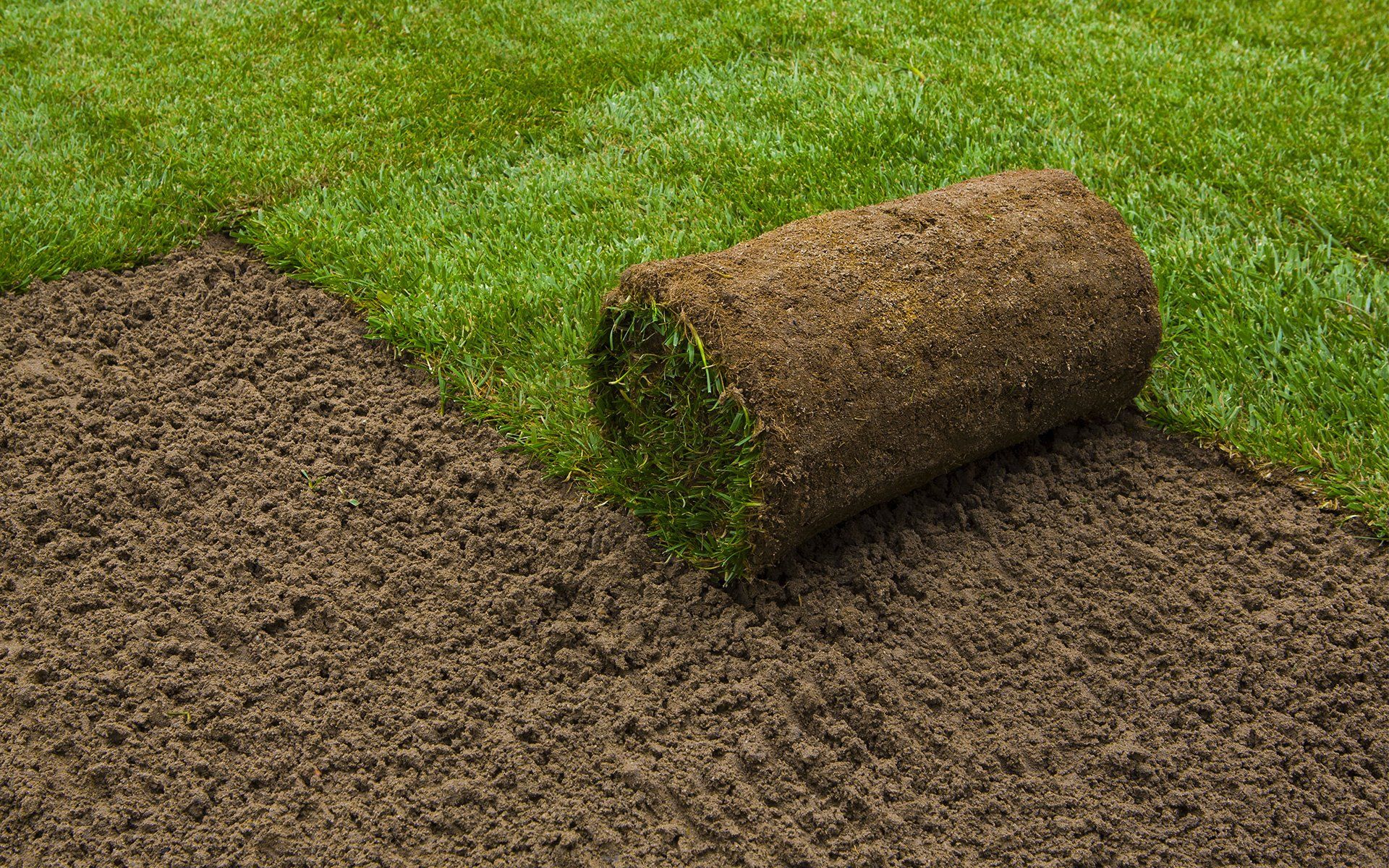 Sod Installation