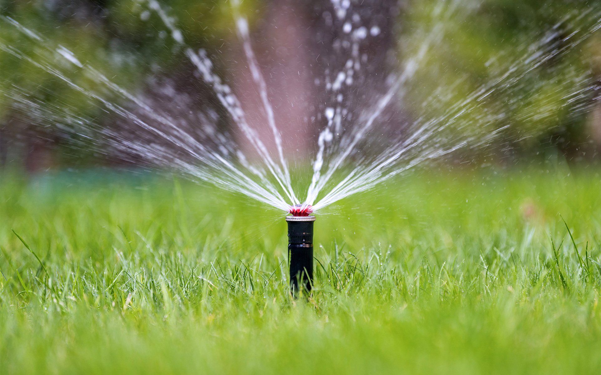 Irrigation