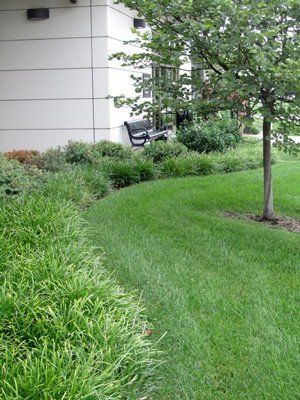 Landscaping