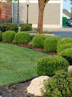 Landscaping