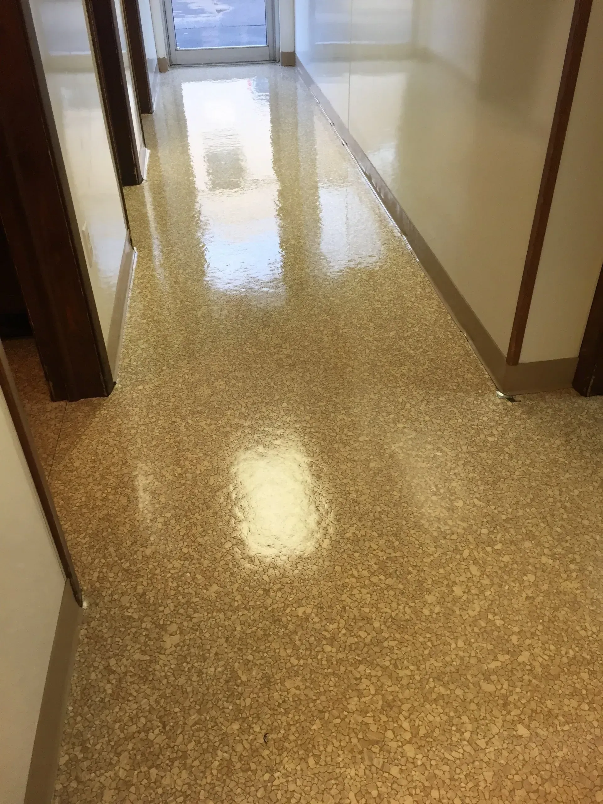 Polished, speckled floor in a hallway. Beige walls, brown door frames, natural light reflects on floor.