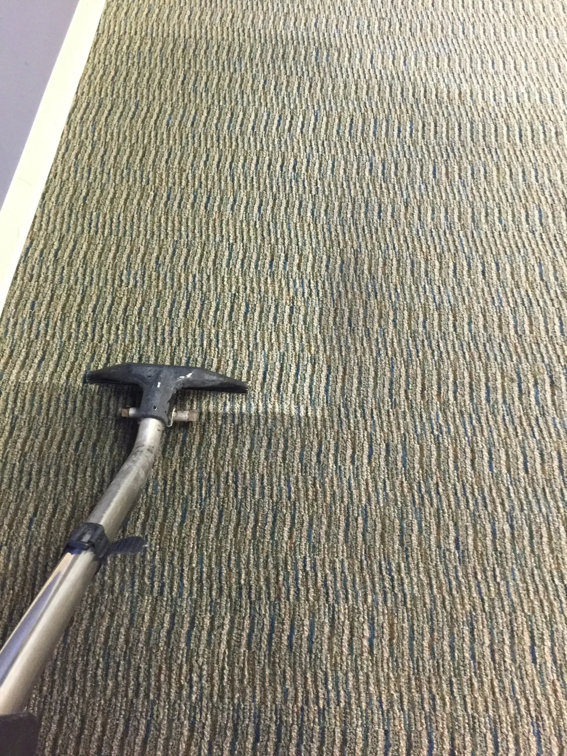 Carpet being cleaned with a cleaning wand, showing the difference in color between clean and dirty sections.