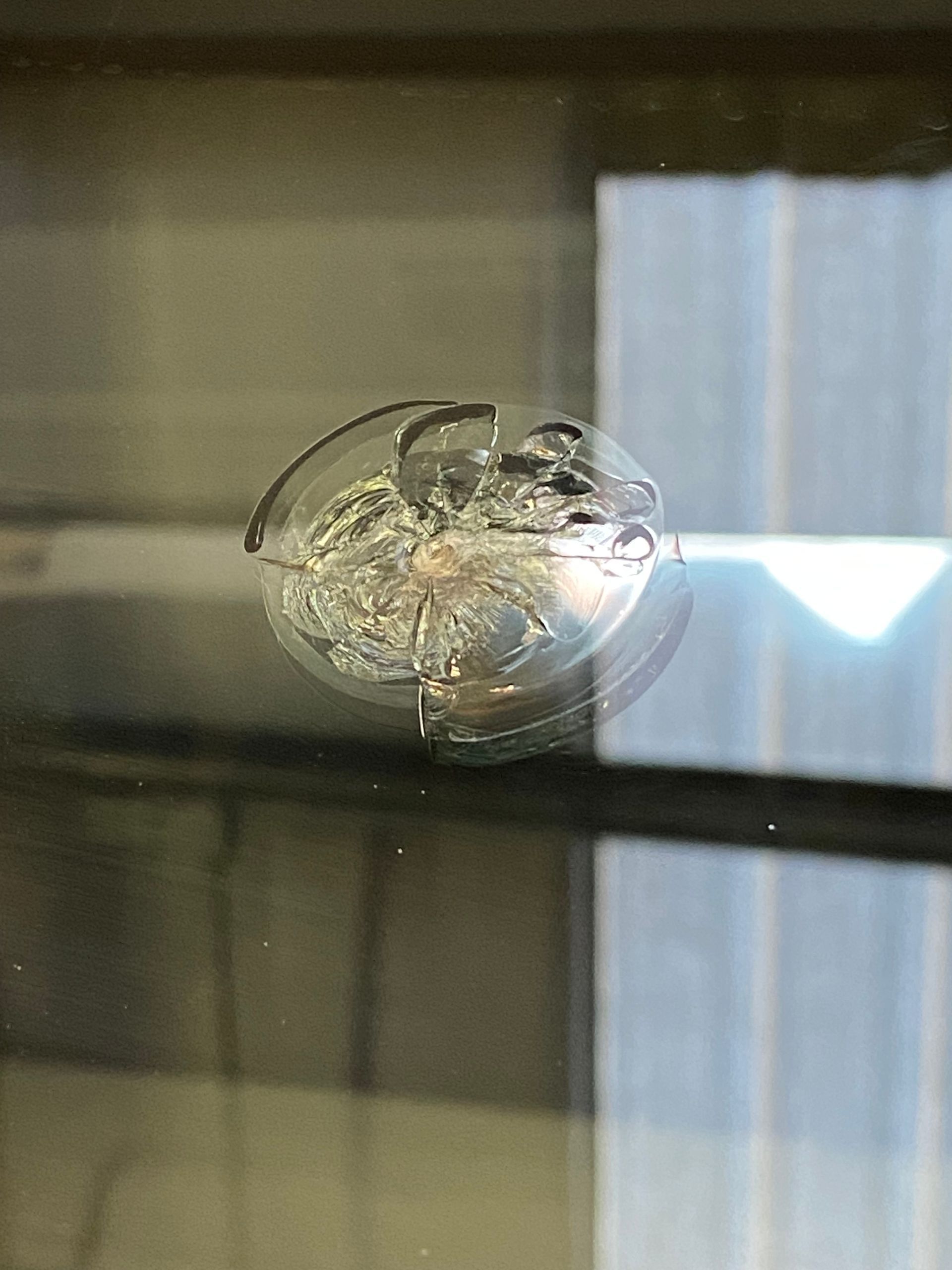 Clear suction cup attached to a glass window, with reflected light and blurred indoor background.