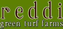Reddi Green Turf Farms - Logo