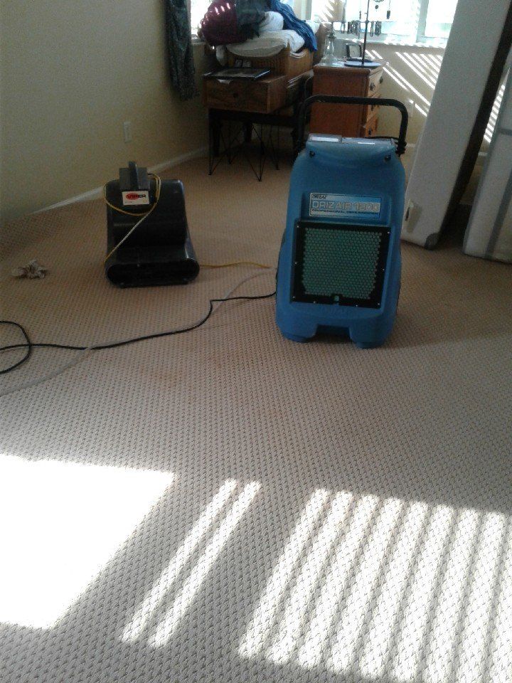 A vacuum cleaner is sitting on a carpet in a room.