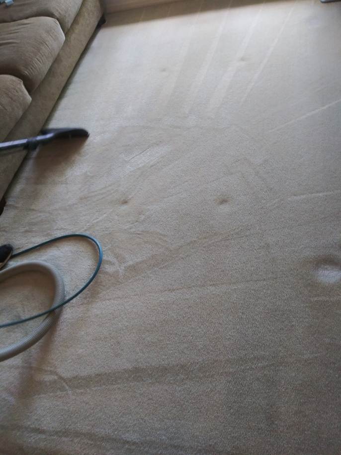 A vacuum cleaner is sitting on a carpet in a living room next to a couch.