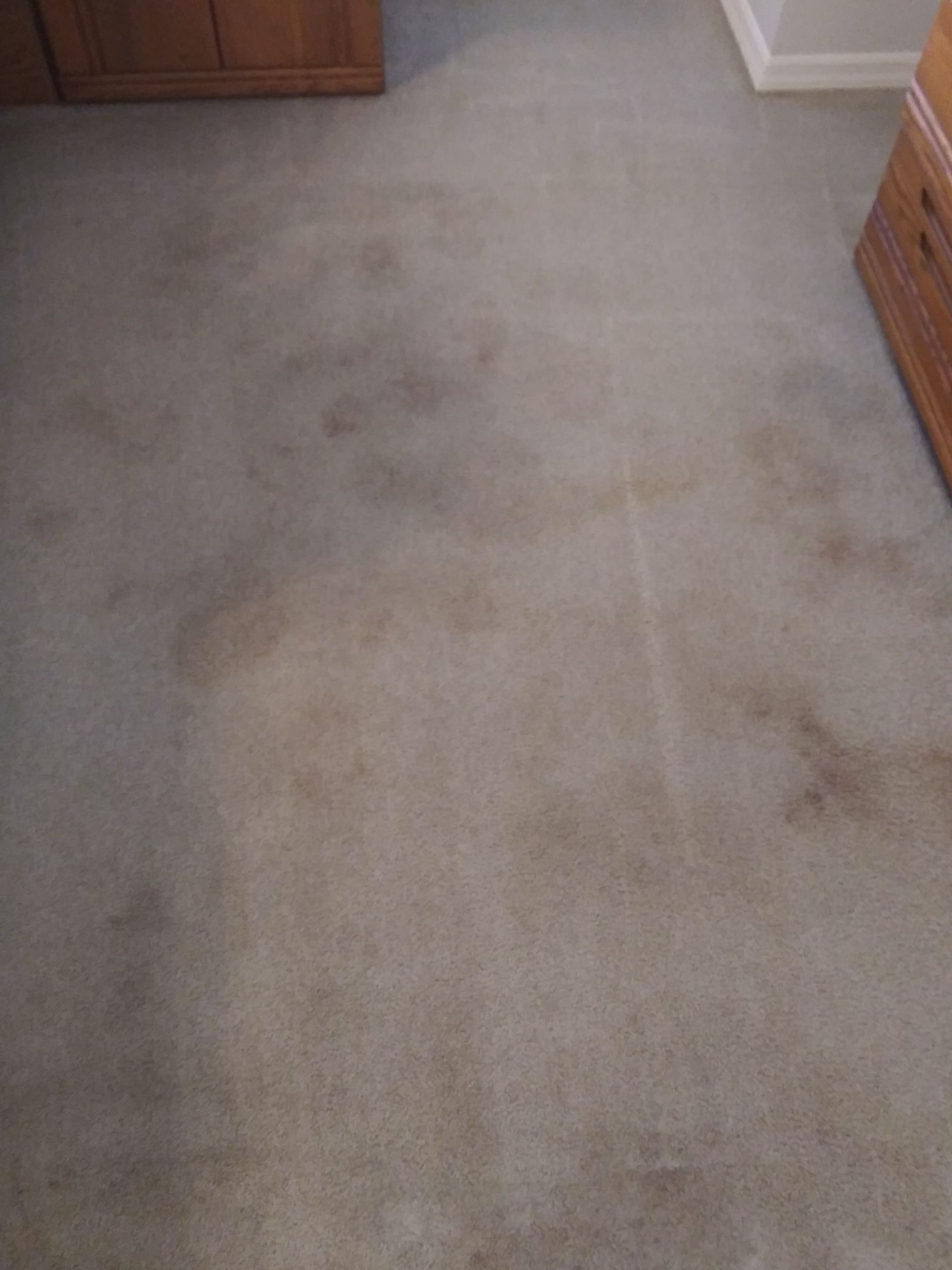A dirty carpet in a living room with a wooden dresser.