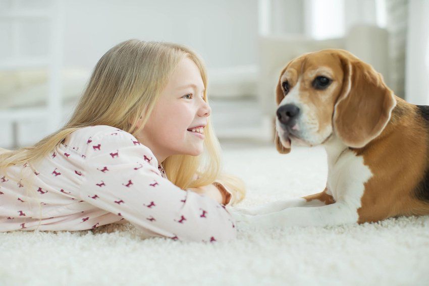 A little girl is laying on the floor next to a beagle dog.