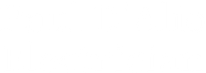 Paul D'Alio Electrician - logo