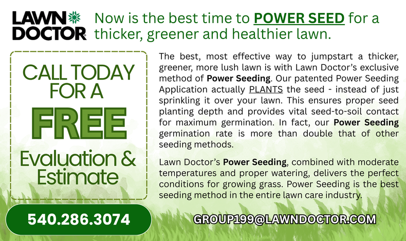 Lawn doctor ad: green and white flyer with “Free Evaluation & Estimate” and phone number 540-286-3074
