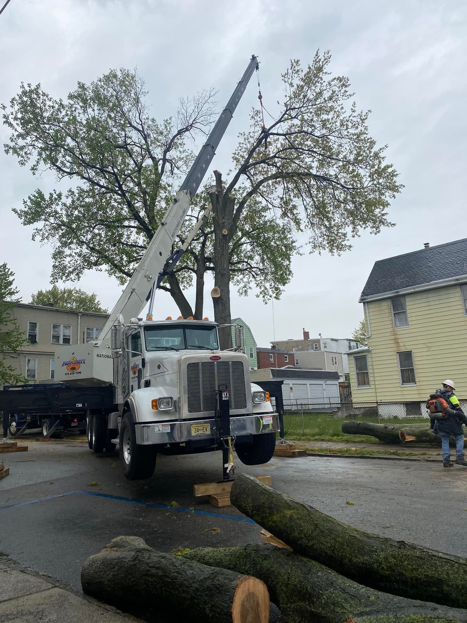 A large tree being trimmed by a crane on a residential street; a worker in an orange vest is visible.