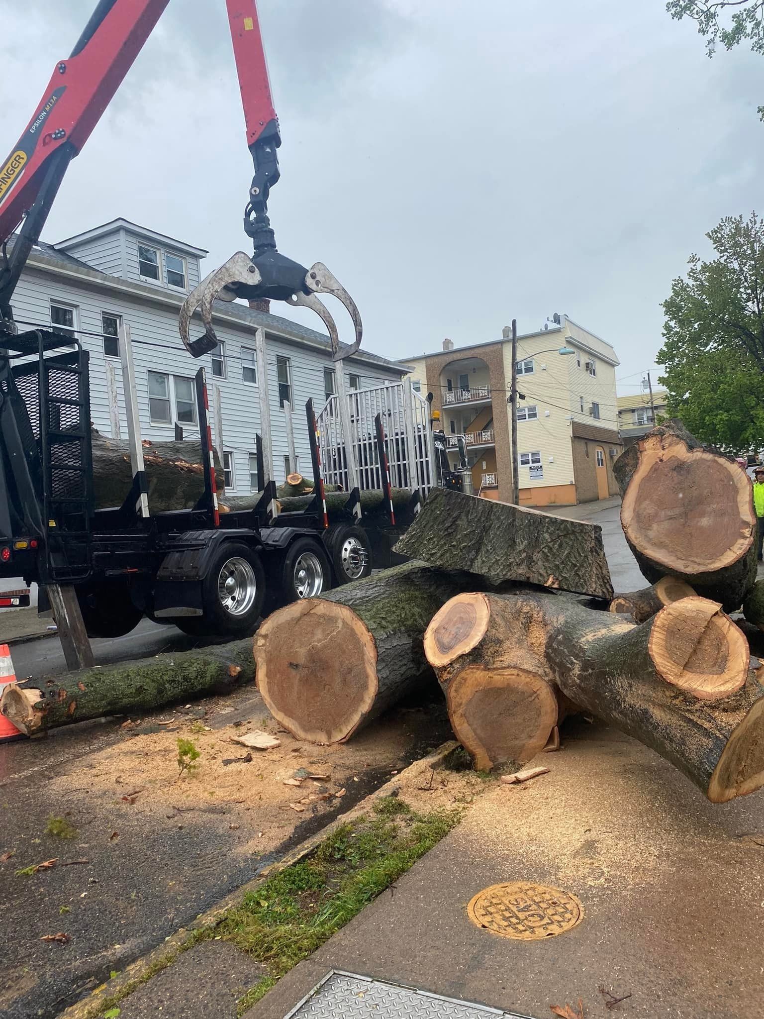 A truck with a crane lifting tree logs on a street with buildings in the background.