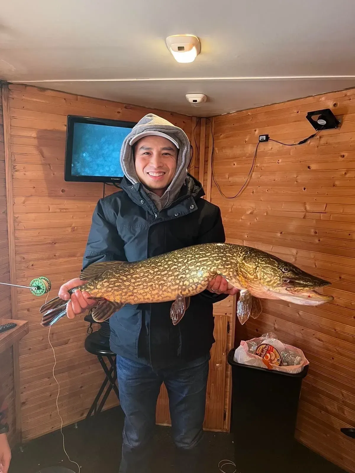 Person in winter gear holding a large fish inside a wooden ice-fishing hut.