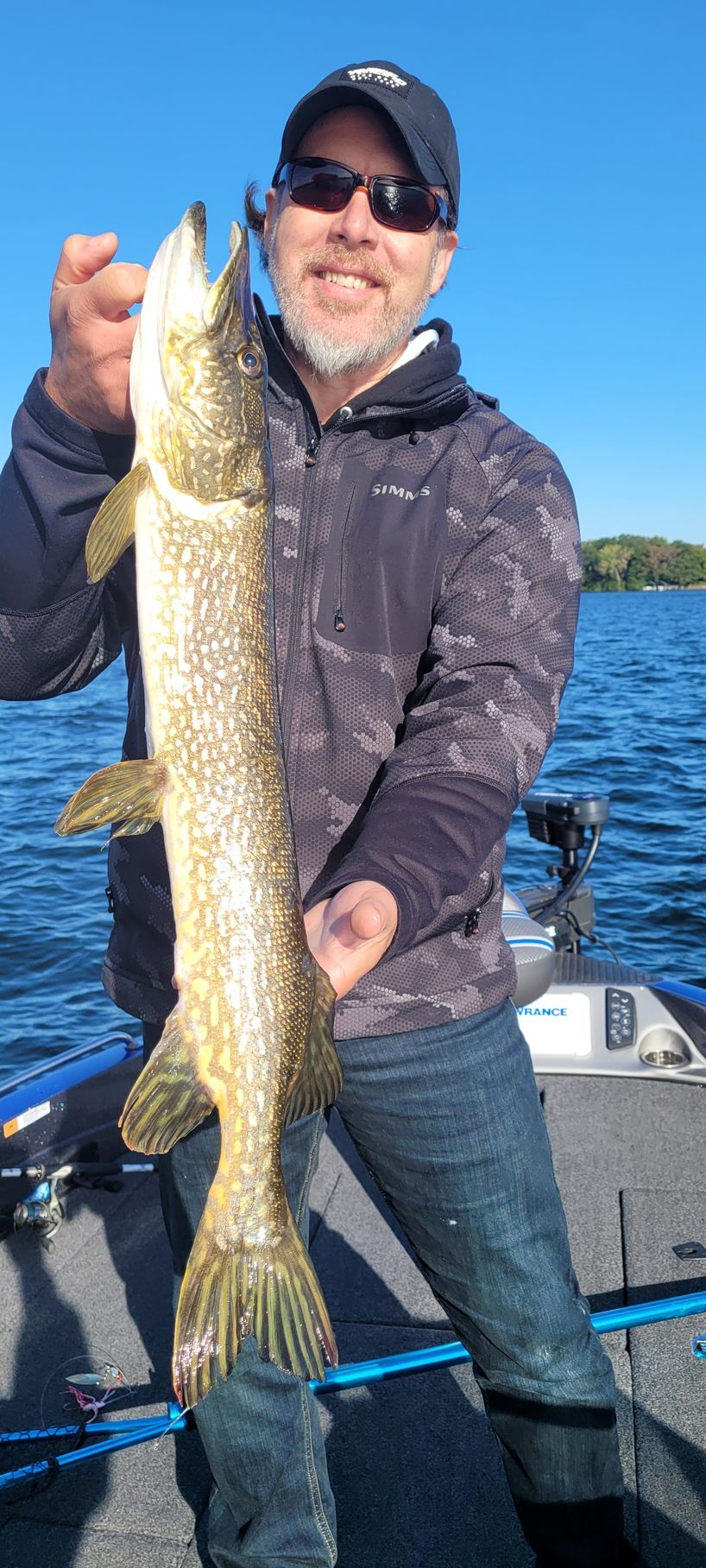 Person on a boat holding a large fish over blue water.
