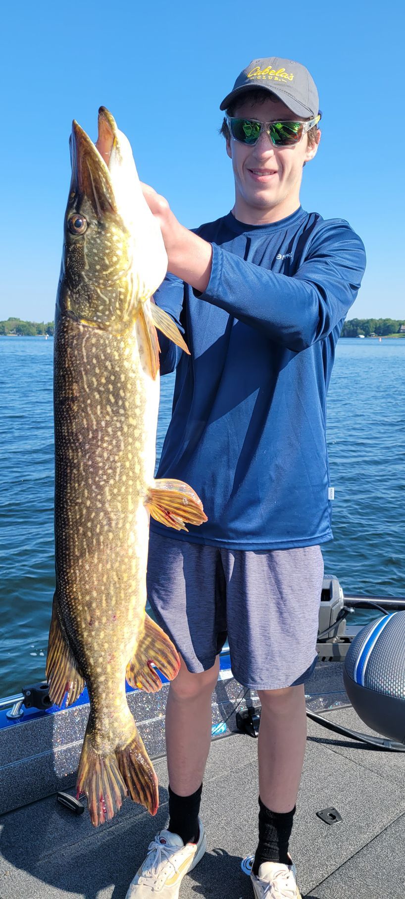 Person on a boat holding a large fish on a sunny lake