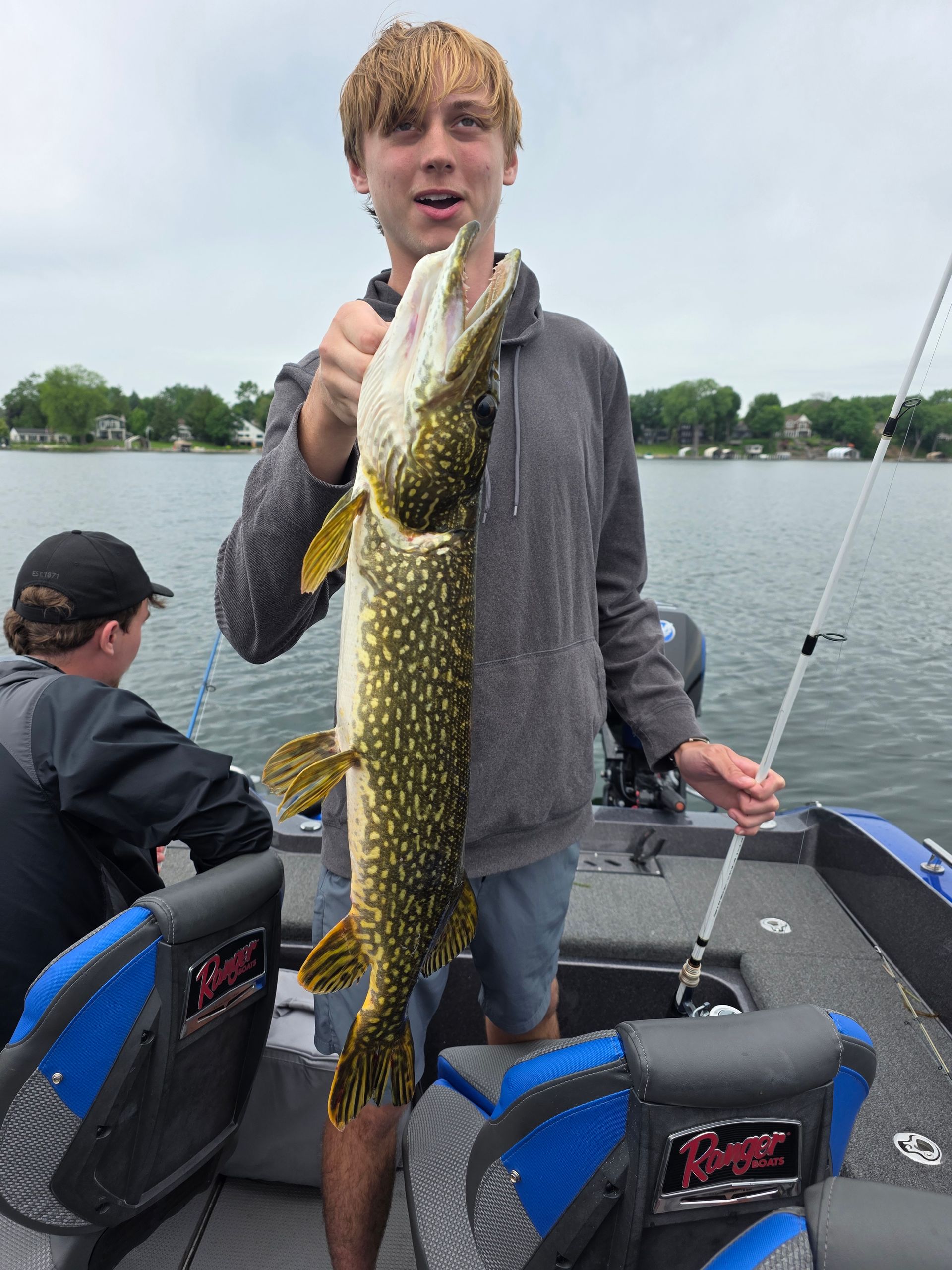 Person on a boat holding a large fish by the lake.