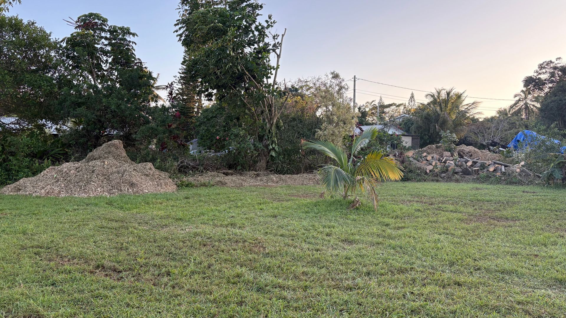 A green lawn with a large pile of debris on the left, trees in the background, and a glimpse of a distant blue structure.