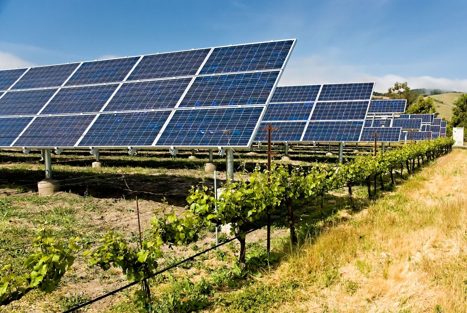 TerraTech Irrigation Solutions