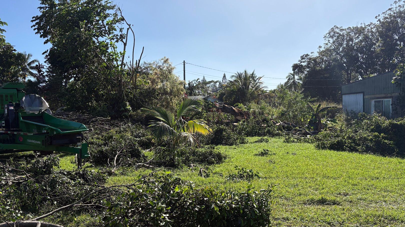 A green wood chipper sits on a grassy field in front of a line of trees with fallen branches under a partly cloudy sky.