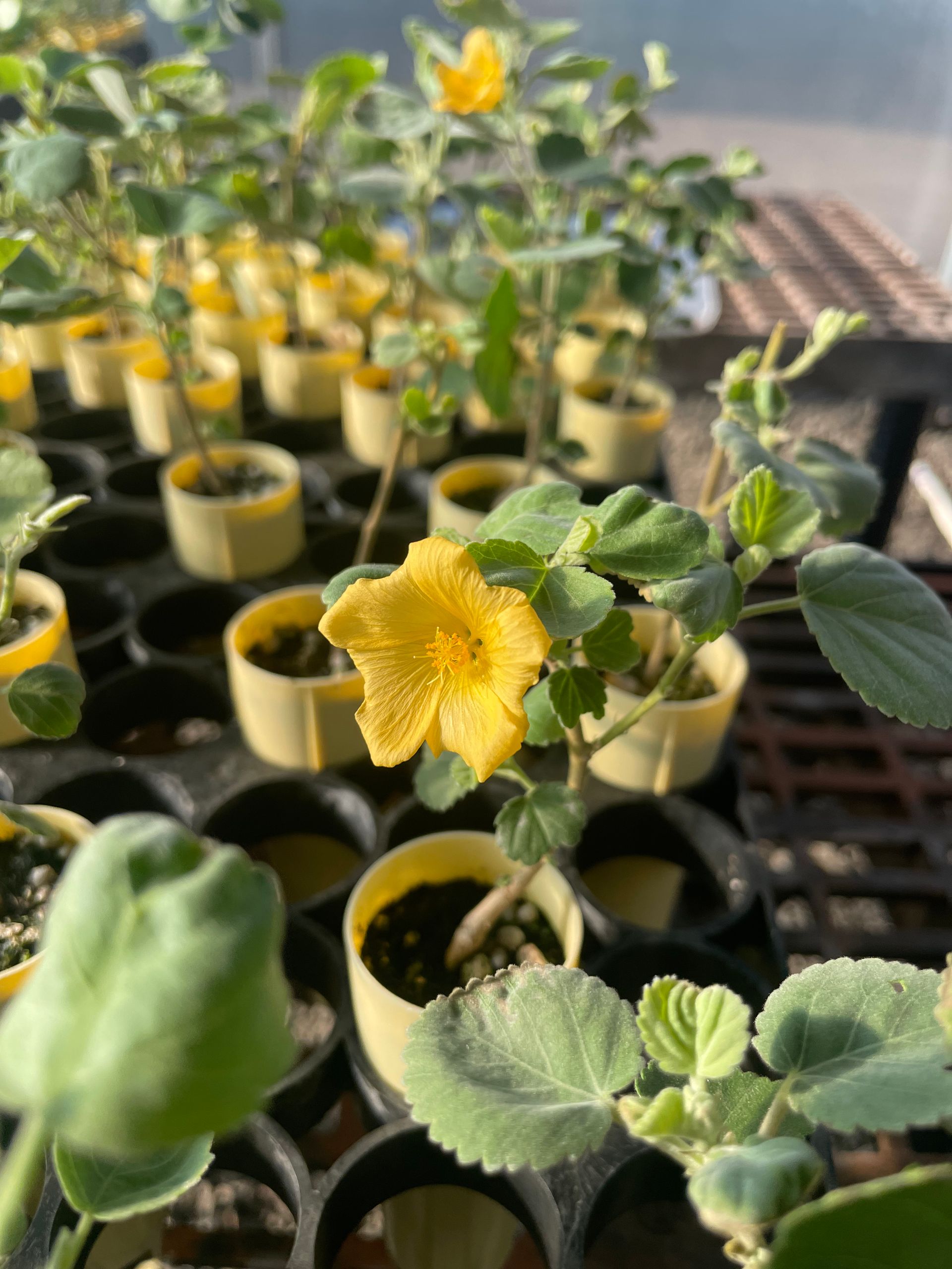 TerraTech Irrigation Solutions