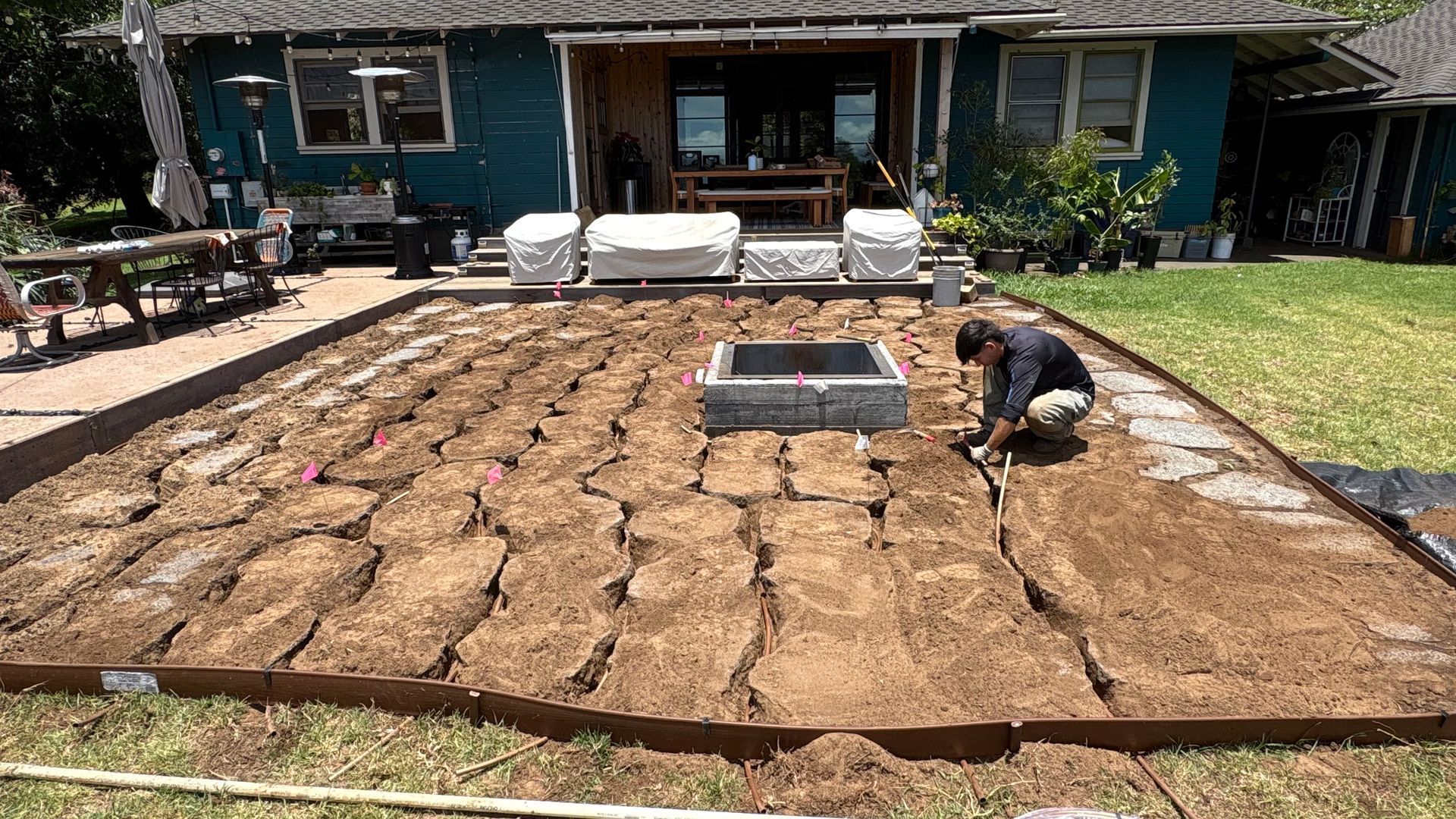 Seedlings in small, colorful pots, viewed from above; green plants with multiple stems.
