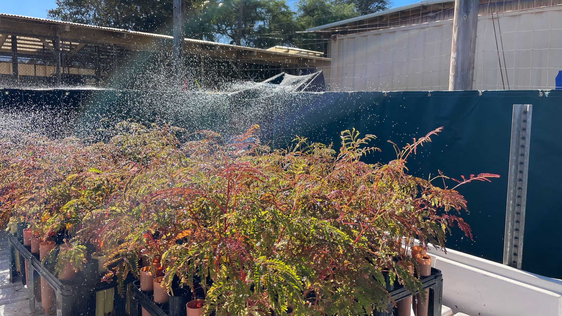 TerraTech Irrigation Solutions