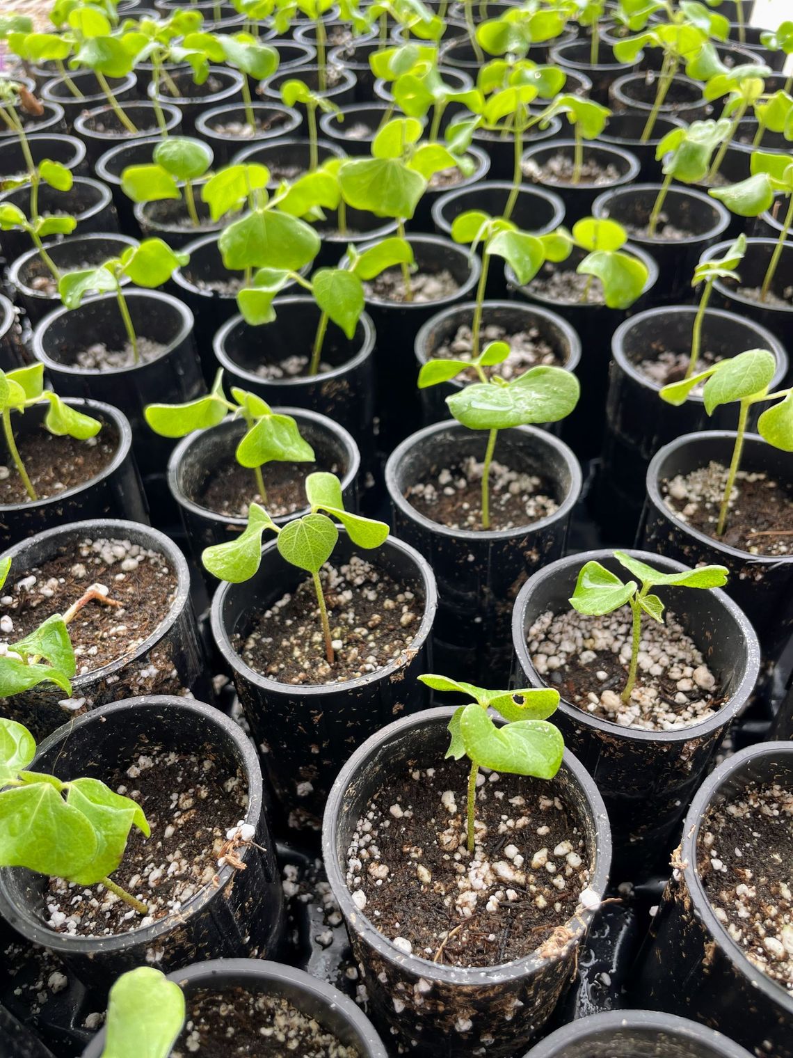 TerraTech Irrigation Solutions