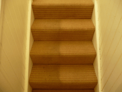 Advanced Carpet Steps Half and Half