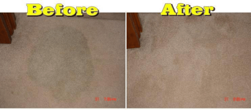 Advanced Carpet Stain