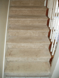 Advanced Carpet Staircase After