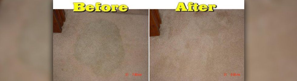 Carpet stain before - after