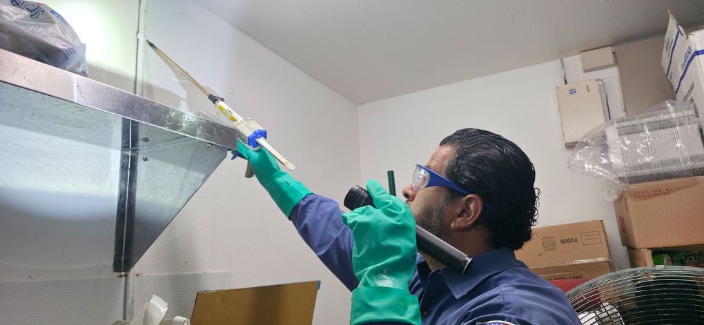 American Pest Control