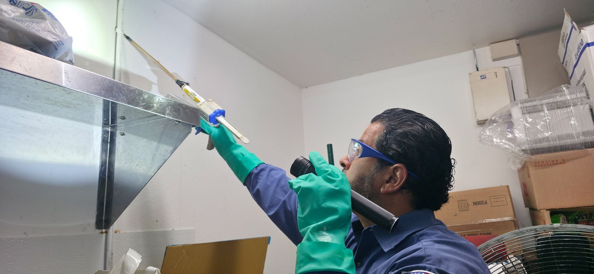 American Pest Control