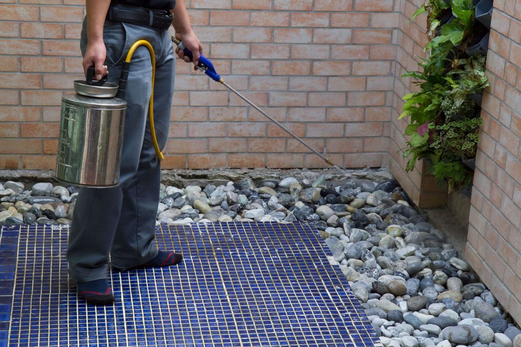 American Pest Control