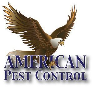 American Pest Control